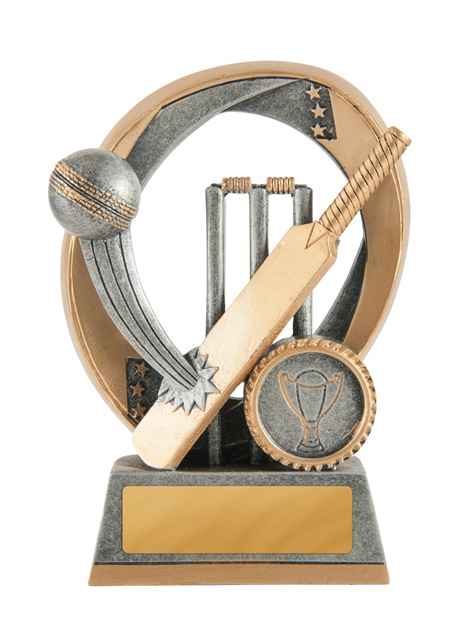 613-1a_discount-cricket-trophies.jpg