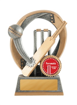 613-1a_discount-cricket-trophies.jpg