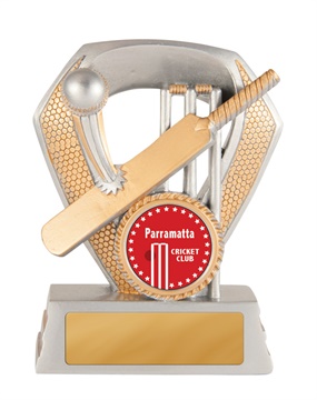 616-1a_discount-cricket-trophies.jpg