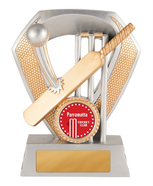 616-1a_discount-cricket-trophies.jpg