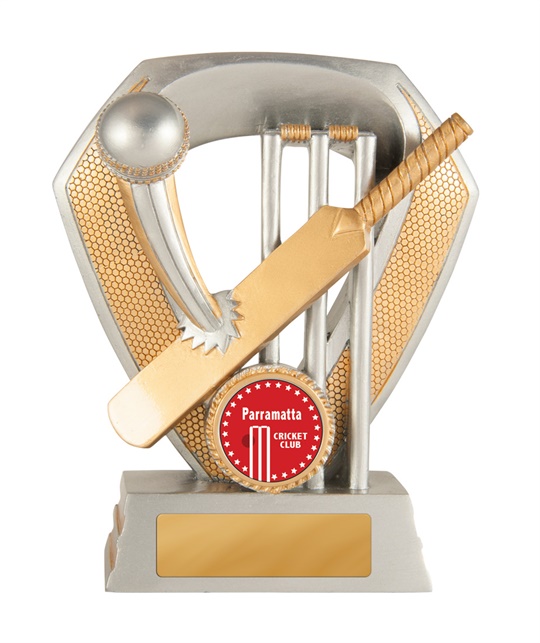 616-1a_discount-cricket-trophies.jpg