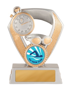 616-2a_discount-swimming-trophies.jpg