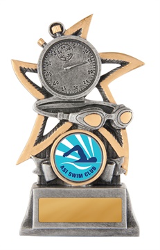 628-2a_discount-swimming-trophies.jpg