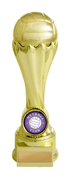 630gvp-8a_discount-netball-trophies.jpg