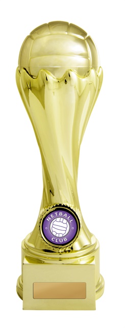 630gvp-8a_discount-netball-trophies.jpg