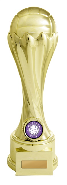 630gvp-8a_discount-netball-trophies.jpg