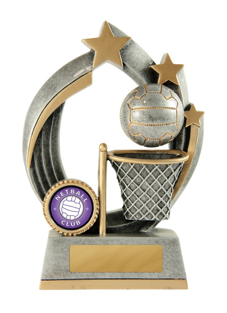 632-8a_discount-netball-trophies.jpg