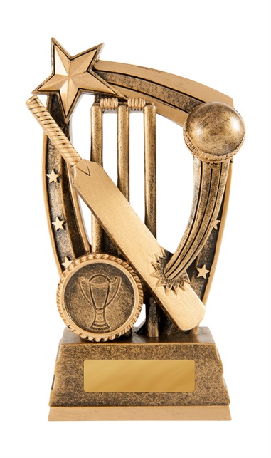 633-1a_discount-cricket-trophies.jpg