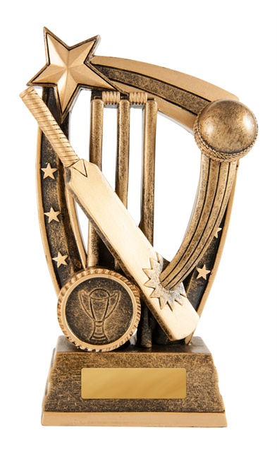 633-1a_discount-cricket-trophies.jpg