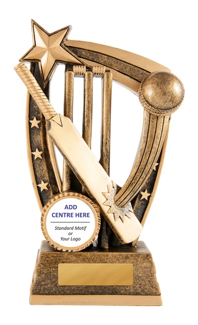 633-1a_discount-cricket-trophies.jpg