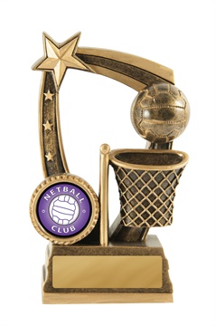 633-8a_discount-netball-trophies.jpg