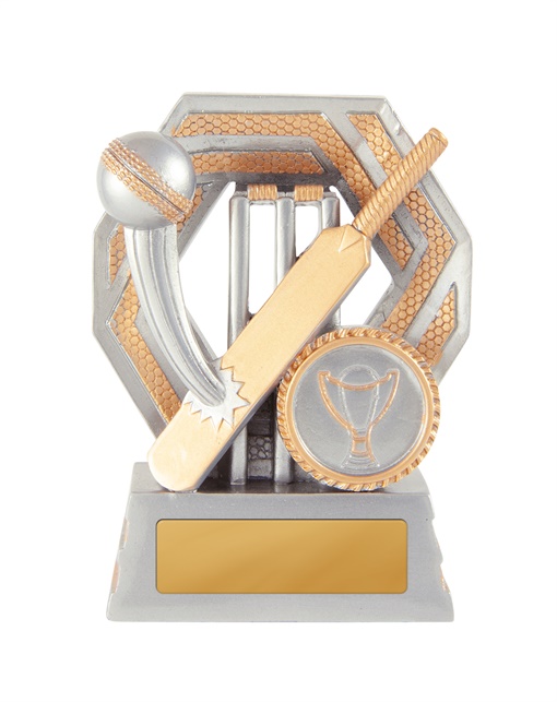 634-1a_discount-cricket-trophies.jpg