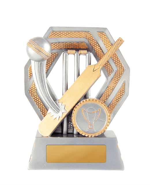 634-1a_discount-cricket-trophies.jpg