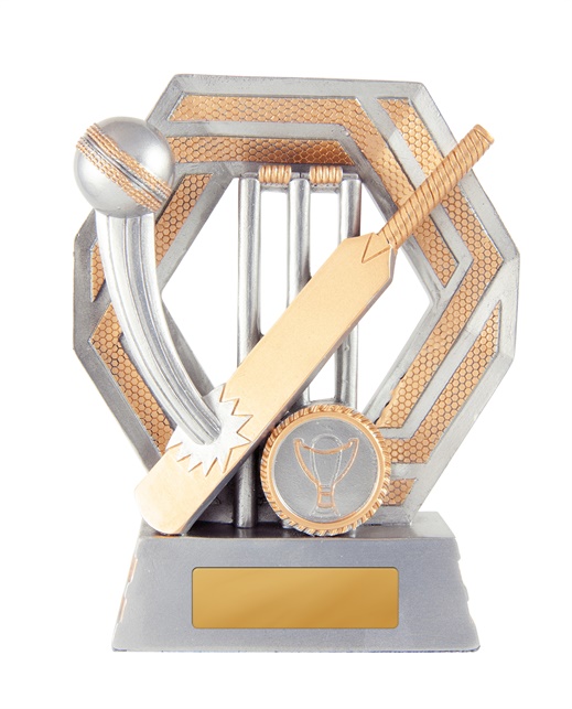 634-1a_discount-cricket-trophies.jpg