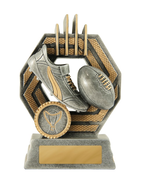 634-3a_discount-aussie-rules-trophies.jpg