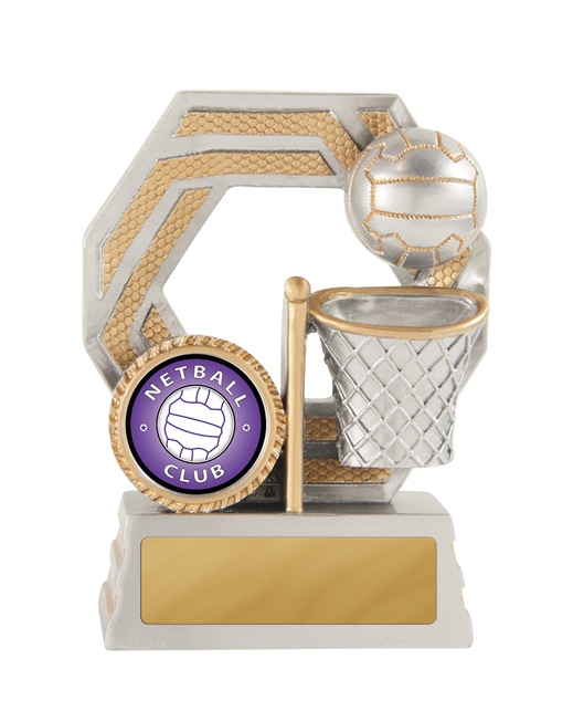 634-8a_discount-netball-trophies.jpg