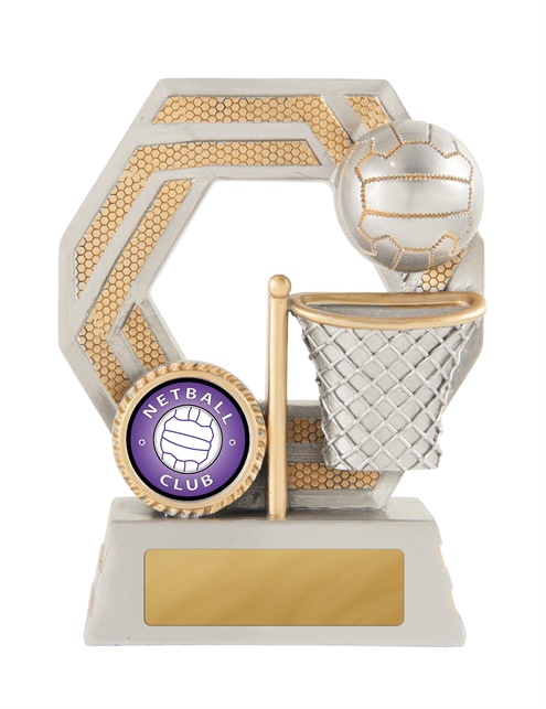 634-8a_discount-netball-trophies.jpg