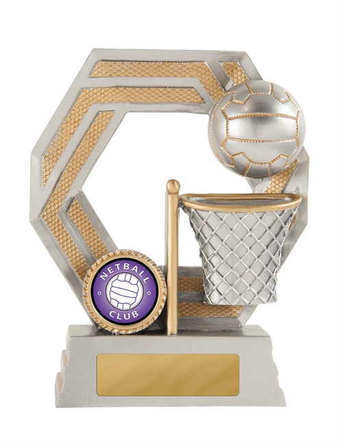 634-8a_discount-netball-trophies.jpg