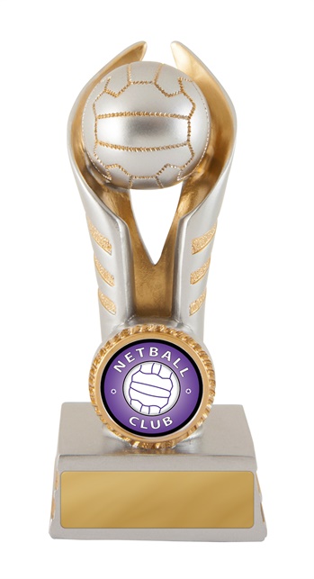 636-8a_discount-netball-trophies.jpg