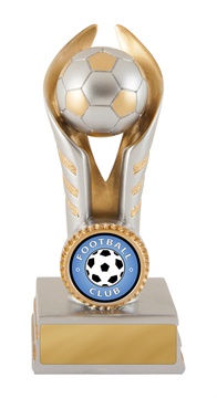 636-9a_discount-football-soccer-trophies.jpg