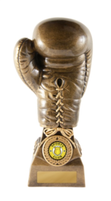 640-32a_discount-boxing-trophies.jpg