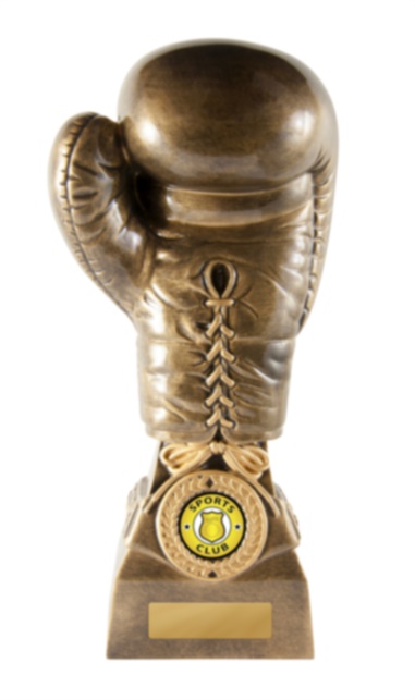 640-32a_discount-boxing-trophies.jpg