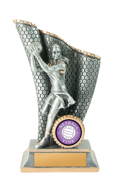 644-8a_discount-netball-trophies.jpg