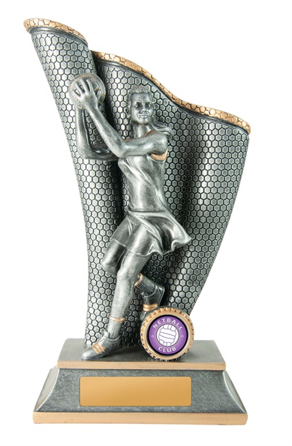 644-8a_discount-netball-trophies.jpg