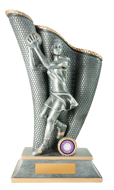 644-8a_discount-netball-trophies.jpg