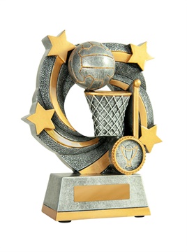 648-8c-hero_discount-netball-trophies.jpg