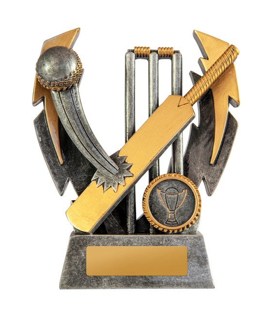 649-1a_discount-cricket-trophies.jpg