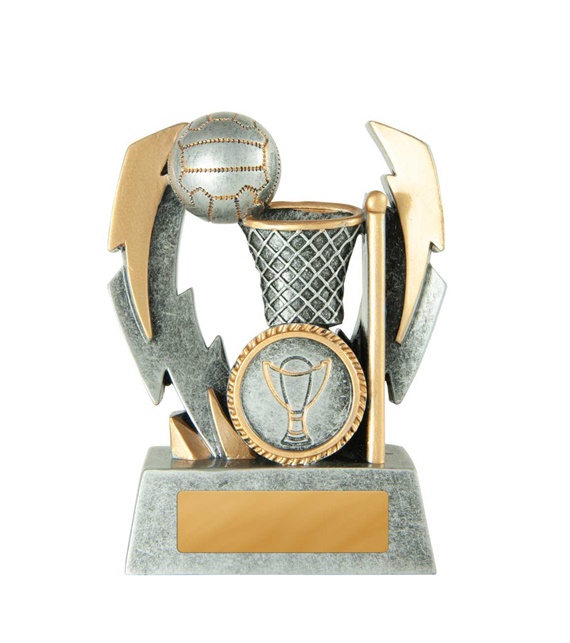 649-8c-hero_discount-netball-trophies.jpg