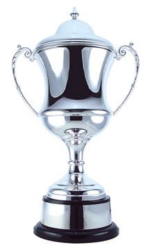655_Metal_Trophy_Cup.jpg
