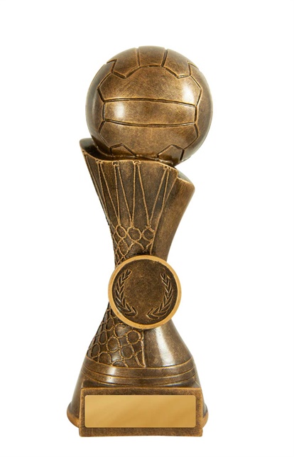 656aag-8c-hero_discount-netball-trophies.jpg