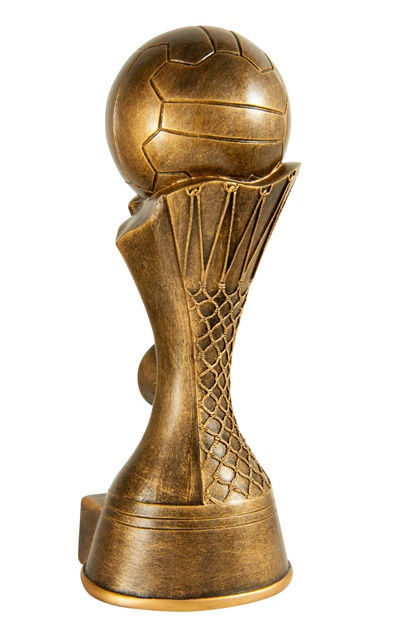 656aag-8c-hero_discount-netball-trophies.jpg