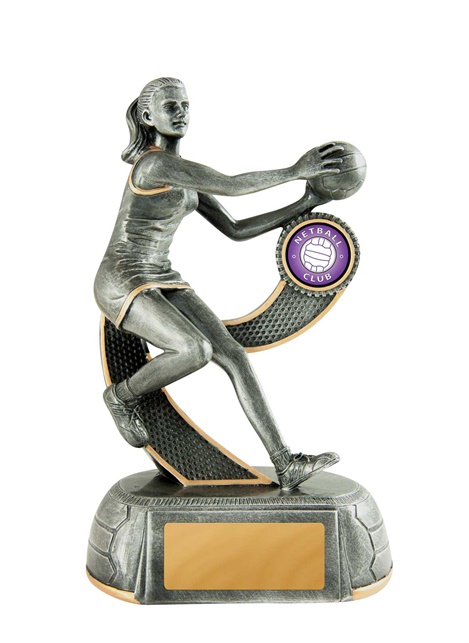 658-8fa_discount-netball-trophies.jpg