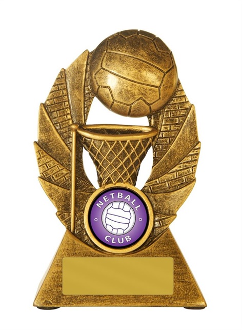 7298a_netball-trophy.jpg