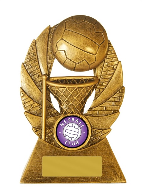 7298a_netball-trophy.jpg