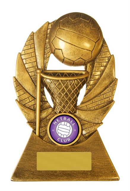 7298a_netball-trophy.jpg