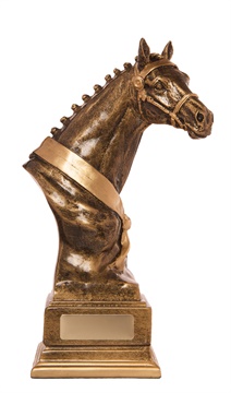 73330a_horse-trophies.jpg