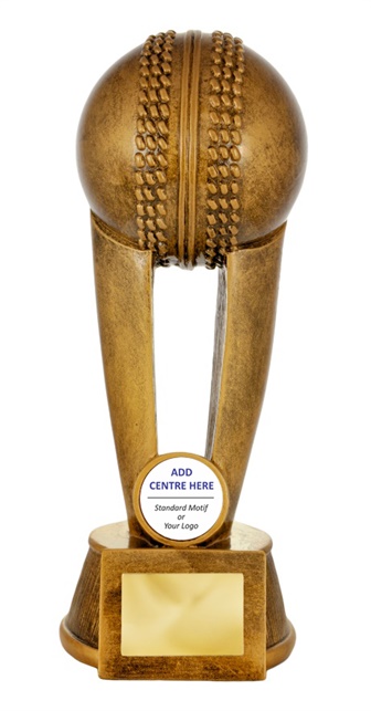 736-1c_discounted-cricket-trophies.jpg