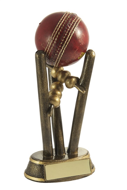 7401a_discount-cricket-trophies.jpg