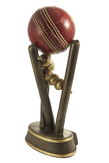 7401a_discount-cricket-trophies.jpg