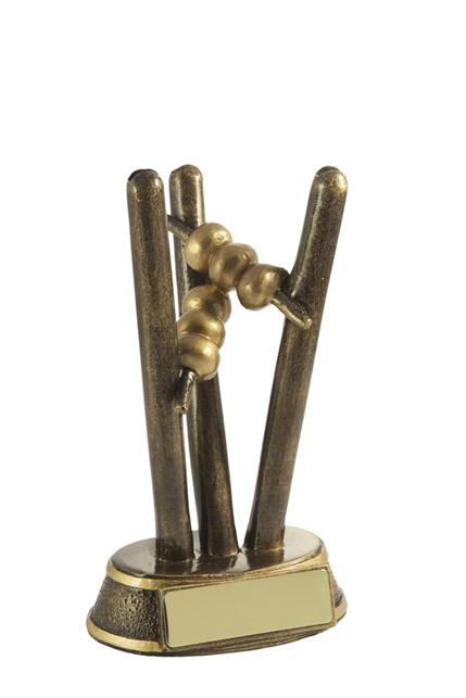 7401a_discount-cricket-trophies.jpg