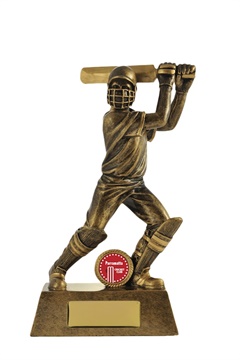 742-1batd_cricket-trophies.jpg