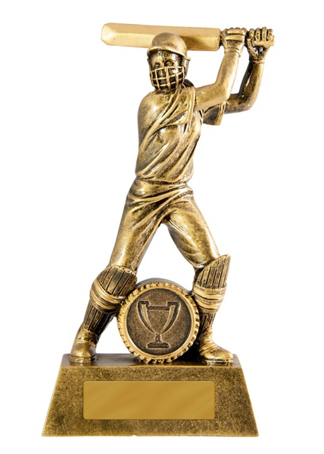 742-1fbata_discount-cricket-trophies.jpg