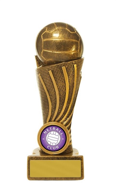 7668_angle_netball-trophy.jpg