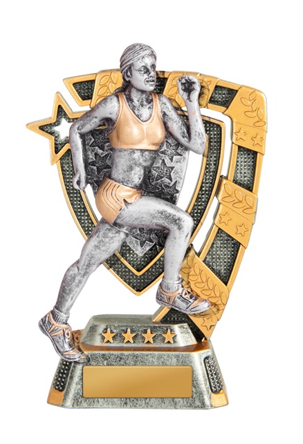 7d-7fin17f_discount-athletics-trophies.jpg
