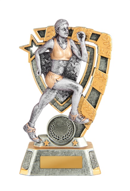 7d-7fin17f_discount-athletics-trophies.jpg