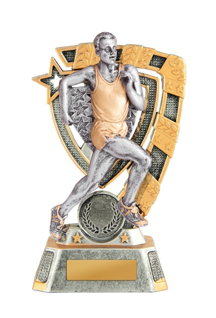 7a-7fin17m_discount-athletics-trophies.jpg